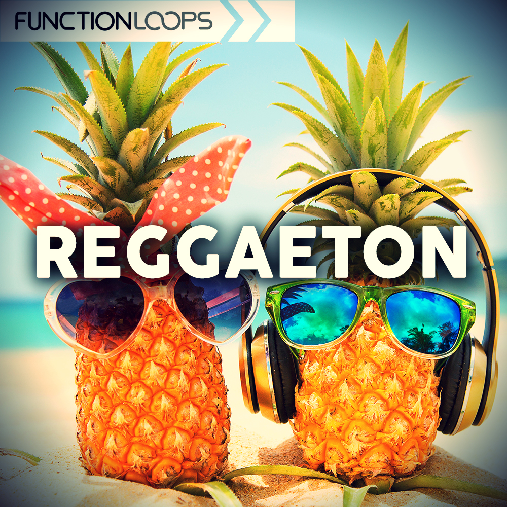 [雷鬼顿采样包] Function Loops Reggaeton
