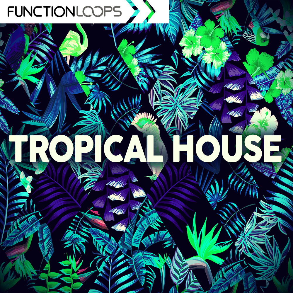 [热带浩室合集] Function Loops Tropical House