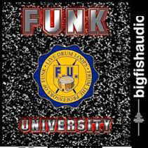 [放克乐器采样包] Big Fish Audio Funk University