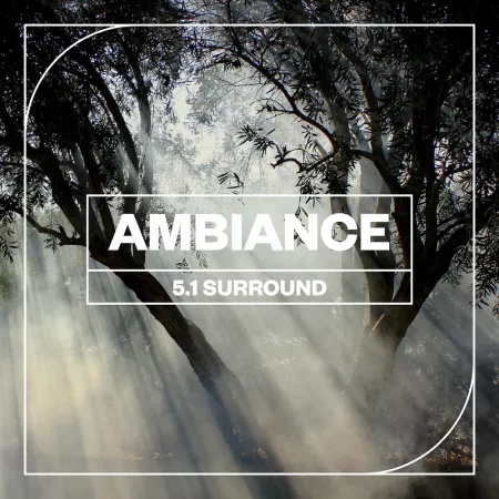 [5.1环绕环境音效采样包] Blastwave FX Ambiance