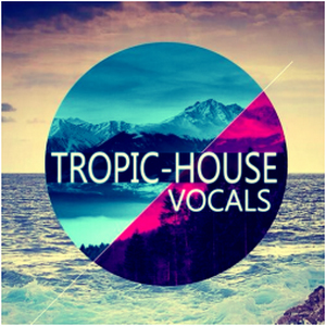 [热带浩室人声合集] Function Loops Tropical House Vocals