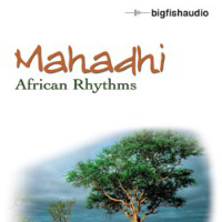 [非洲节奏采样包] Big Fish Audio Mahadhi African Rhythms