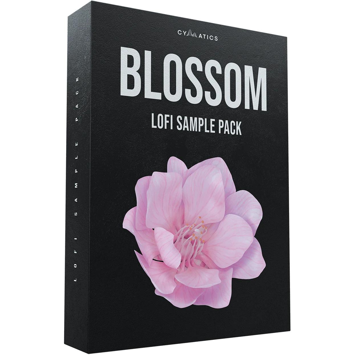 [花朵氛围低保真合集] Cymatics Blossom Lofi