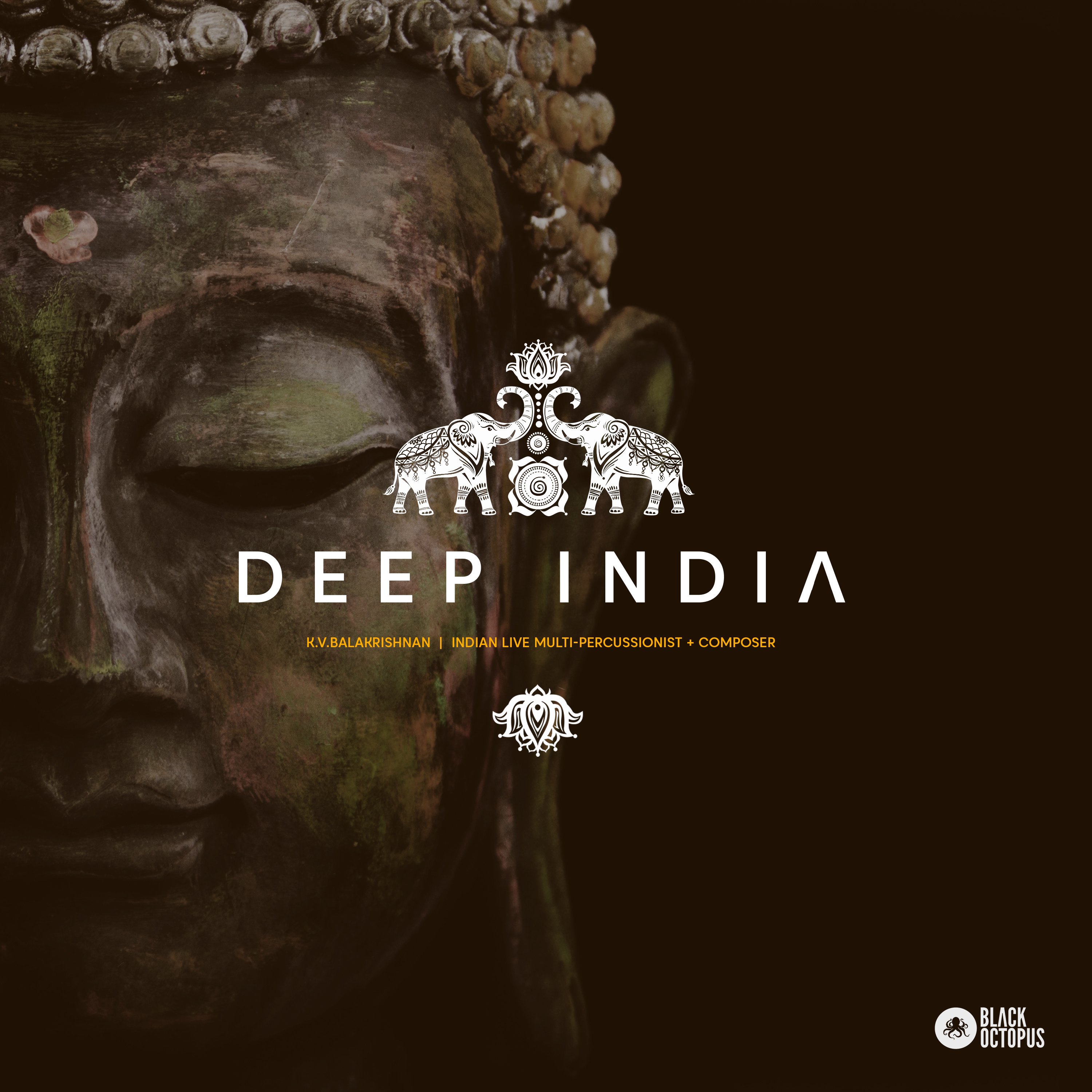 [印度风情电子乐采样包] Black Octopus Sound Deep India