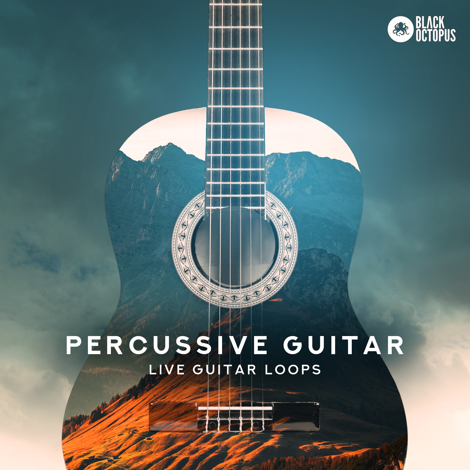 [打击电吉他采样包] Black Octopus Sound Percussive Guitar