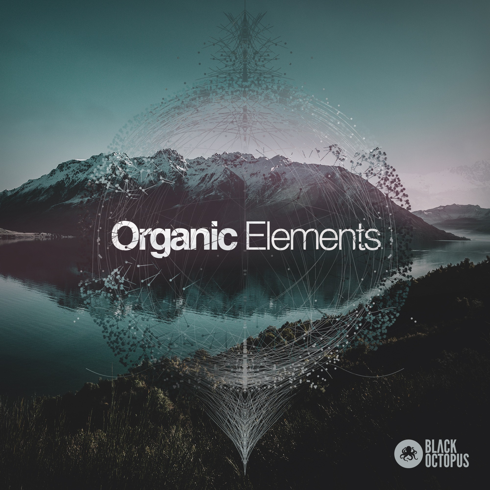 [有机元素采样包] Black Octopus Sound Organic Elements