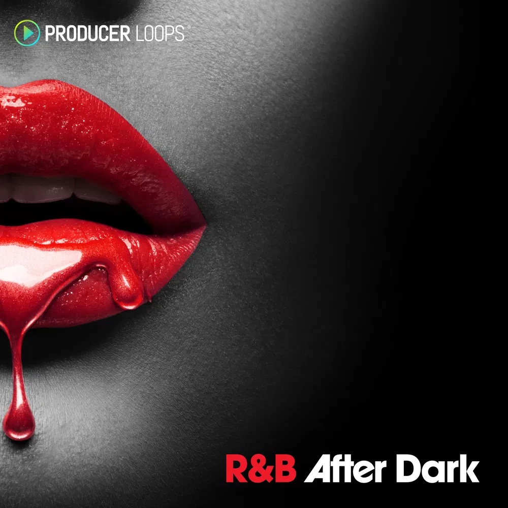[节奏布鲁斯夜曲采样包] Producer Loops RnB After Dark